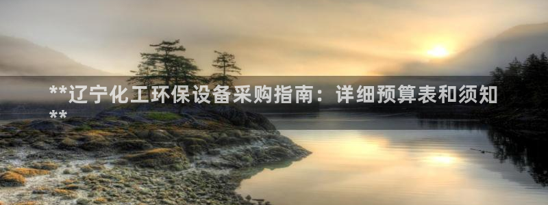 亿万先生mr：**辽宁化工环保设备采购指南：详细预算表和须知
**
