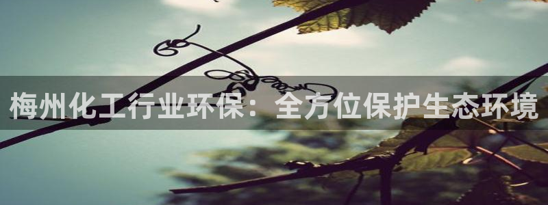 亿万剧情介绍：梅州化工行业环保：全方位保护生态环境