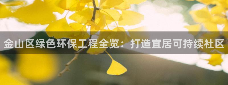 亿万集团有限公司：金山区绿色环保工程全览：打造宜居可持续社区