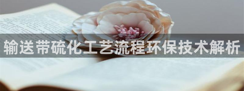 亿万网友在线实时为您解答问题：输送带硫化工艺流程环保技术解析