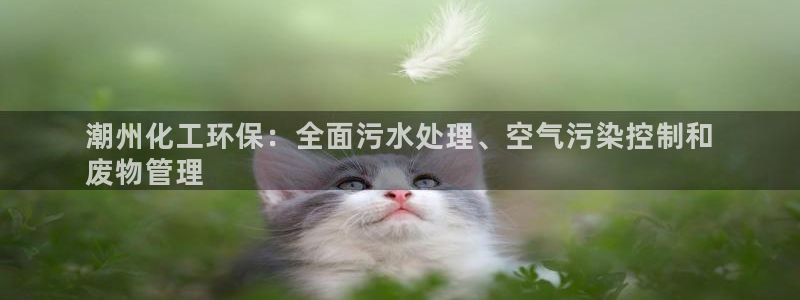 亿万千百十：潮州化工环保：全面污水处理、空气污染控制和
废物管理