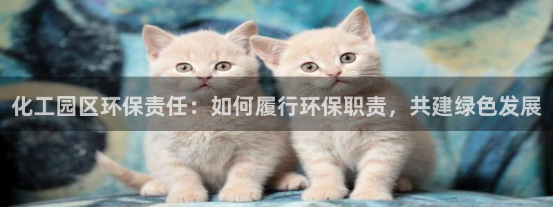 亿万先生换网址了吗：化工园区环保责任：如何履行环保职责，共建绿色发展