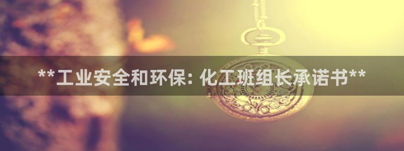 亿万乐购生活超市：**工业安全和环保: 化工班组长承诺书**