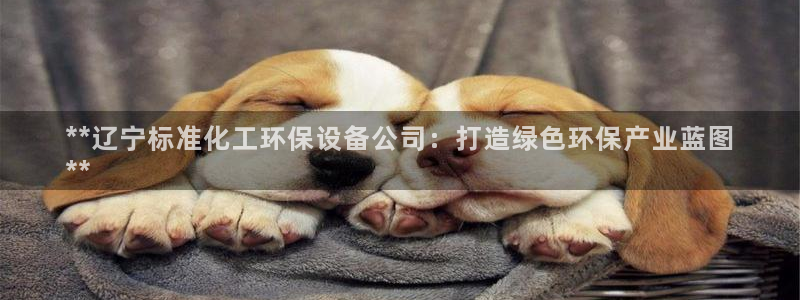 亿万先生 手机版下载：**辽宁标准化工环保设备公司：打造绿色环保产业蓝图
**