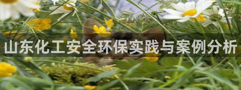 亿万先生网址生：山东化工安全环保实践与案例分析