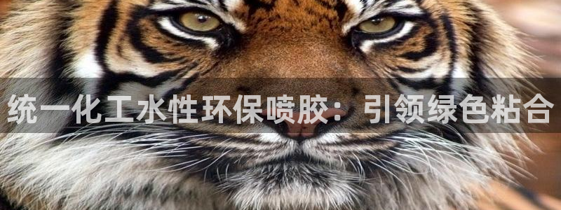 亿万先生mr07官网：统一化工水性环保喷胶：引领绿色粘合