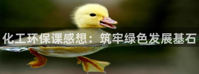 亿万先生网站下载：化工环保课感想：筑牢绿色发展基石