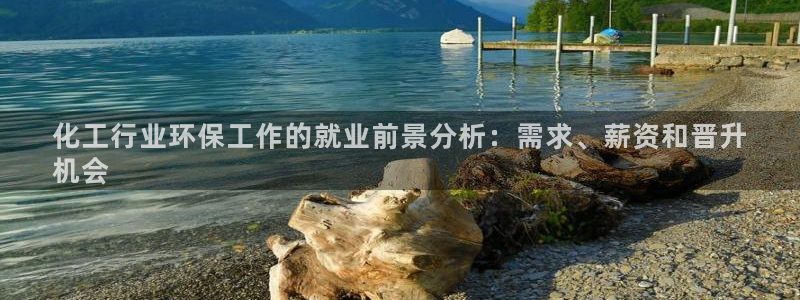亿万先生mr网址：化工行业环保工作的就业前景分析：需求、薪资和晋升
机会