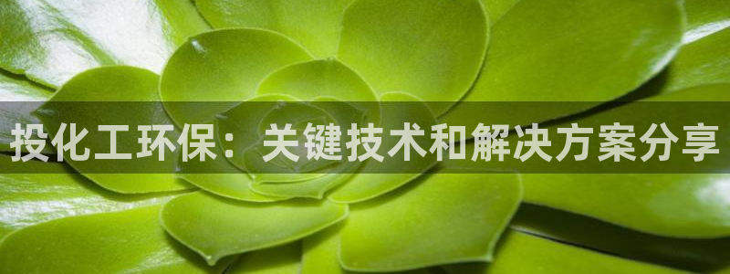 亿万先生现在的网址谁知道是真的：投化工环保：关键技术和解决方案分享