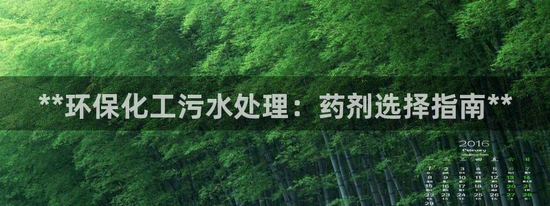 亿万先生官方客服：**环保化工污水处理：药剂选择指南**