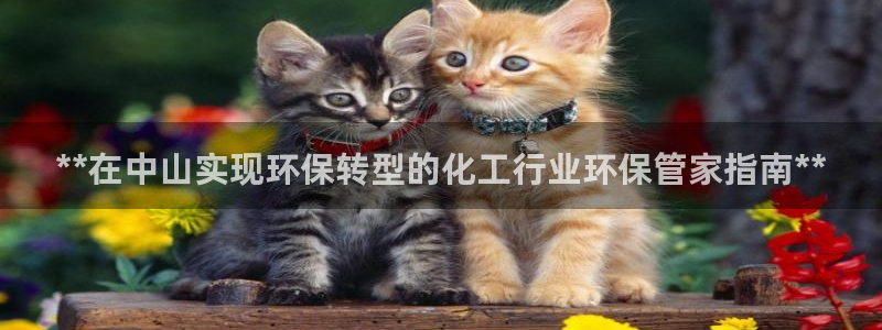 亿万先生现在的网址谁知道：**在中山实现环保转型的化工行业环保管家指南**