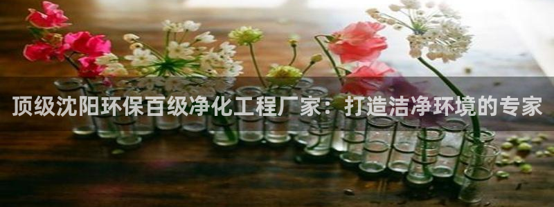 亿万先生下载网址app：顶级沈阳环保百级净化工程厂家：打造洁净环境的专家