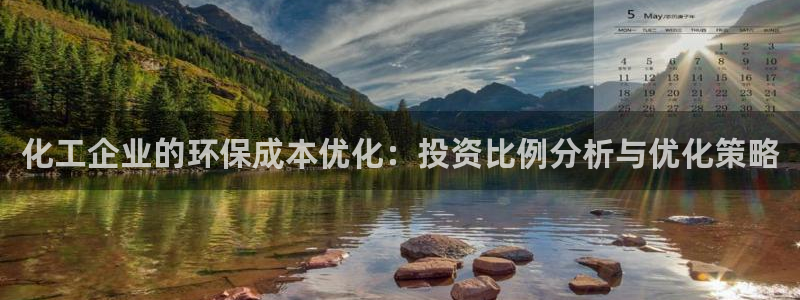 mr8001亿万先生：化工企业的环保成本优化：投资比例分析与优化策略