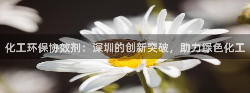 亿万先生网页版登录：化工环保协效剂：深圳的创新突破，助力绿色化工