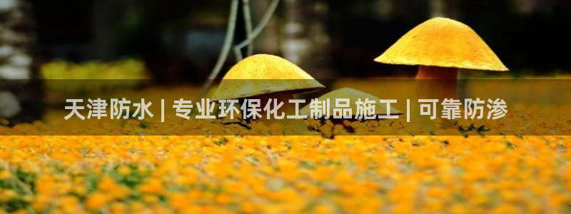 亿万 下载：天津防水 | 专业环保化工制品施工 | 可靠防渗