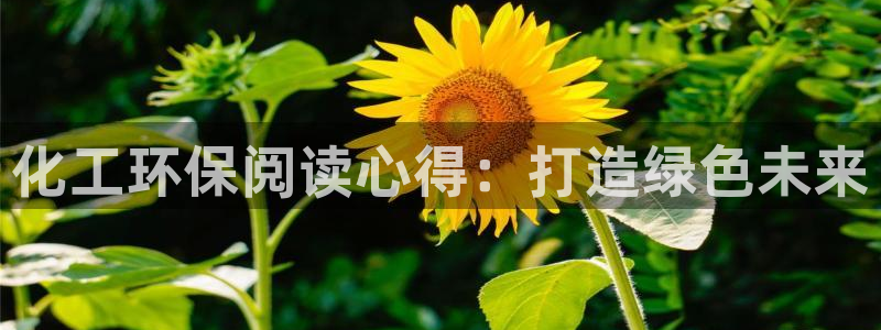 亿万同人字幕组的个人主页：化工环保阅读心得：打造绿色未来