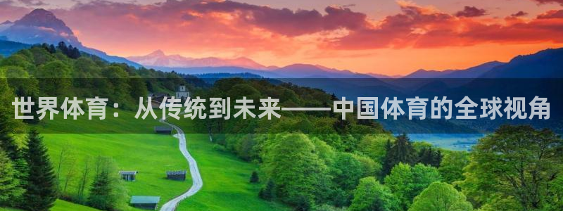 米兰体育官方下载入口：世界体育：从传统到未来——中国体育的全球视角