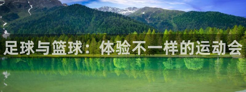 米兰体育下载官网最新版：足球与篮球：体验不一样的运动会