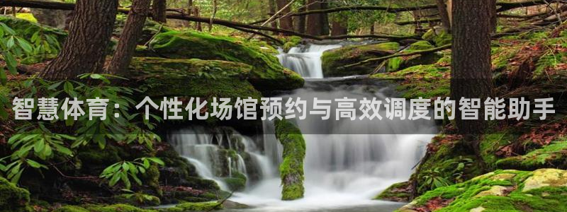 米兰体育平台：智慧体育：个性化场馆预约与高效调度的智能助手