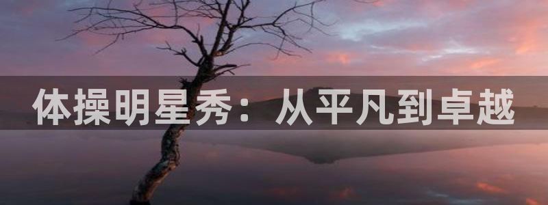米兰体育报：体操明星秀：从平凡到卓越
