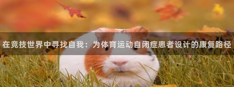 米兰体育场：在竞技世界中寻找自我：为体育运动自闭症患者设计的康复路径